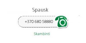 dpf servisas vilniaus kauno klaipedos mieste