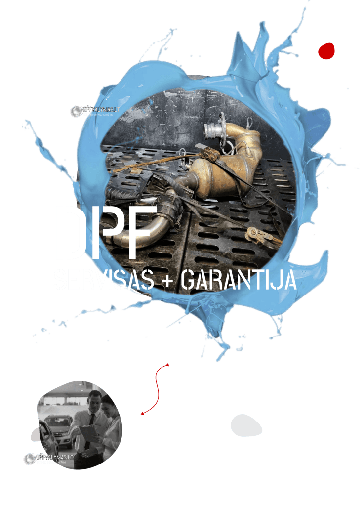 dpf filtro valymas plovimas su aparatu